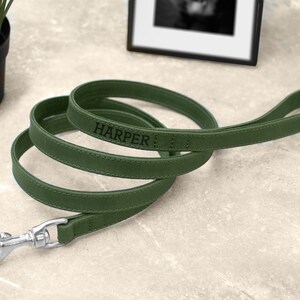Personalized Leather Dog Leash, Durable Pet Leashes with Golden and Silver Hardware, Leather Dog Lead with Handle for Small and Large Dogs Hunter Green