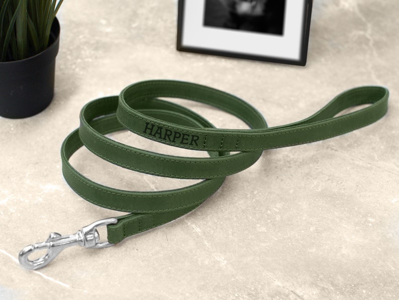 Personalized Leather Dog Leash, Durable Pet Leashes with Golden and Silver Hardware, Leather Dog Lead with Handle for Small and Large Dogs Hunter Green