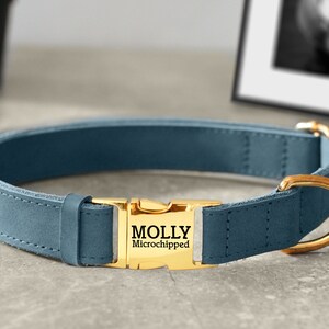 May include: A blue leather dog collar with a gold buckle and a gold tag that says "MOLLY Microchipped".
