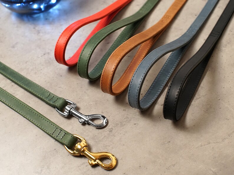 Leather Dog Leash Durable Pet Leashes With Golden and Silver Etsy UK