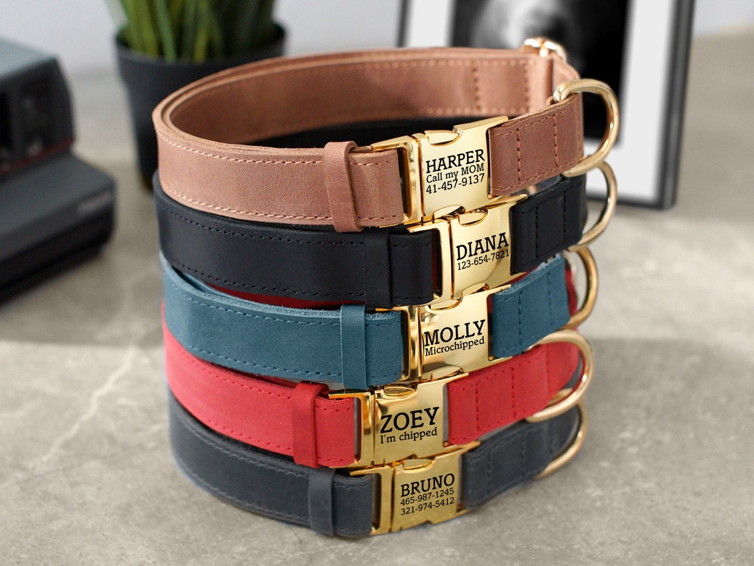 Engraved Metal Buckle Dog Collar, Leather Dog Collar, Personalized Dog