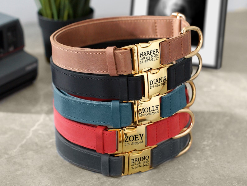 May include: Stack of five leather dog collars in different colors, each with a gold metal buckle and a personalized engraved tag. The tags include the dog's name, phone number, and additional information like "microchipped" or "I'm chipped".