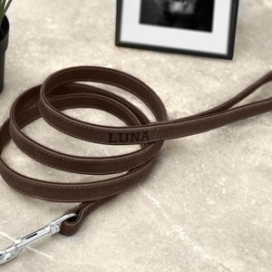 Personalized Leather Dog Leash, Durable Pet Leashes with Golden and Silver Hardware, Leather Dog Lead with Handle for Small and Large Dogs Dark Brown