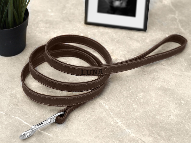 Personalized Leather Dog Leash, Durable Pet Leashes with Golden and Silver Hardware, Leather Dog Lead with Handle for Small and Large Dogs Dark Brown