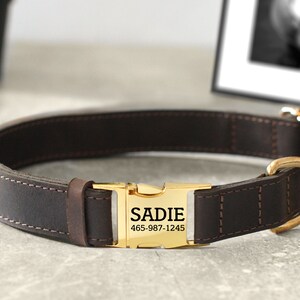 May include: A brown leather dog collar with a gold buckle. The buckle has the name "SADIE" and the phone number "465-987-1245" engraved on it.