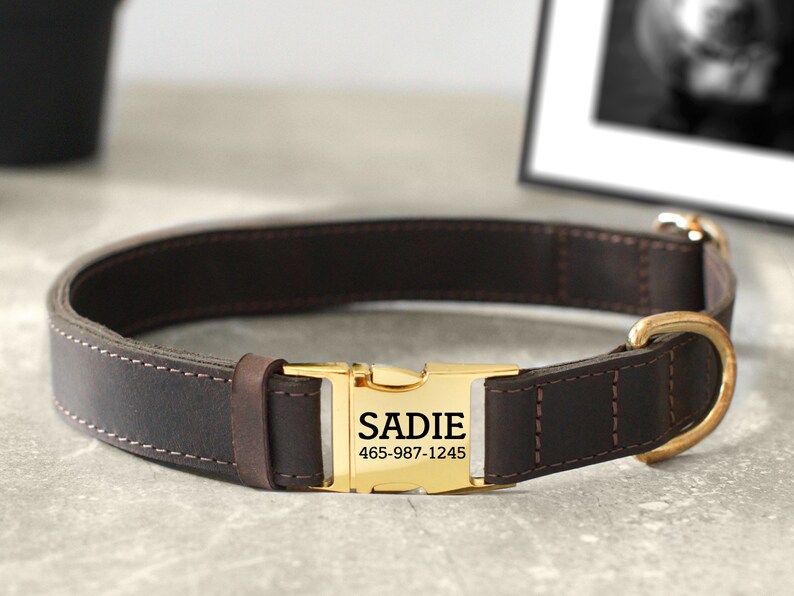 May include: A brown leather dog collar with a gold buckle. The buckle has the name "SADIE" and the phone number "465-987-1245" engraved on it.