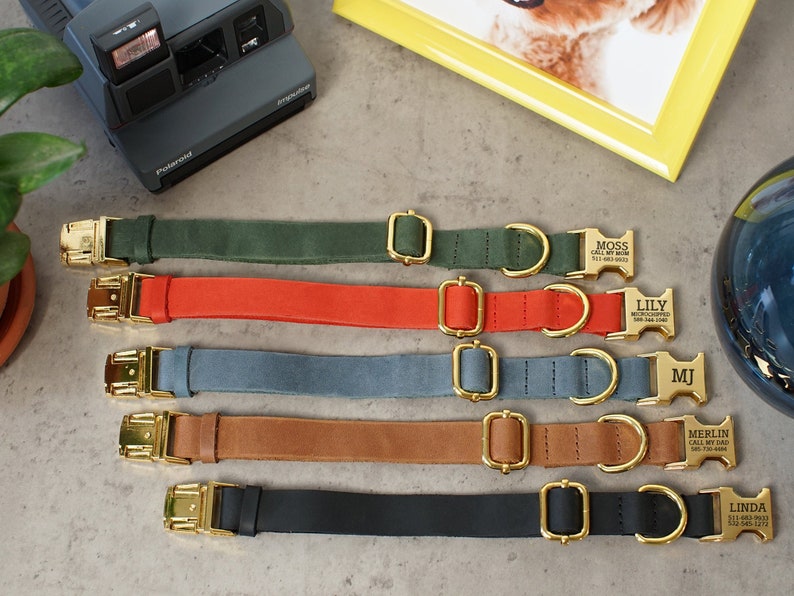 Leather Dog Collar Personalized with Laser Engraved Buckle, Custom Dog Collar with 5 Color Styles for Female and Male Dogs, Puppy Collar 