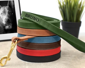 Personalized Leather Dog Leash, Durable Pet Leashes with Golden and Silver Hardware, Leather Dog Lead with Handle for Small and Large Dogs