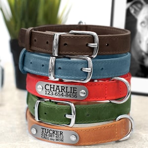 May include: Stack of five leather dog collars in brown, blue, red, green, and tan with personalized metal name tags. The top tag reads "CHARLIE 123-654-8456" and the bottom tag reads "TUCKER 234-987-4512 CALL my MOM".