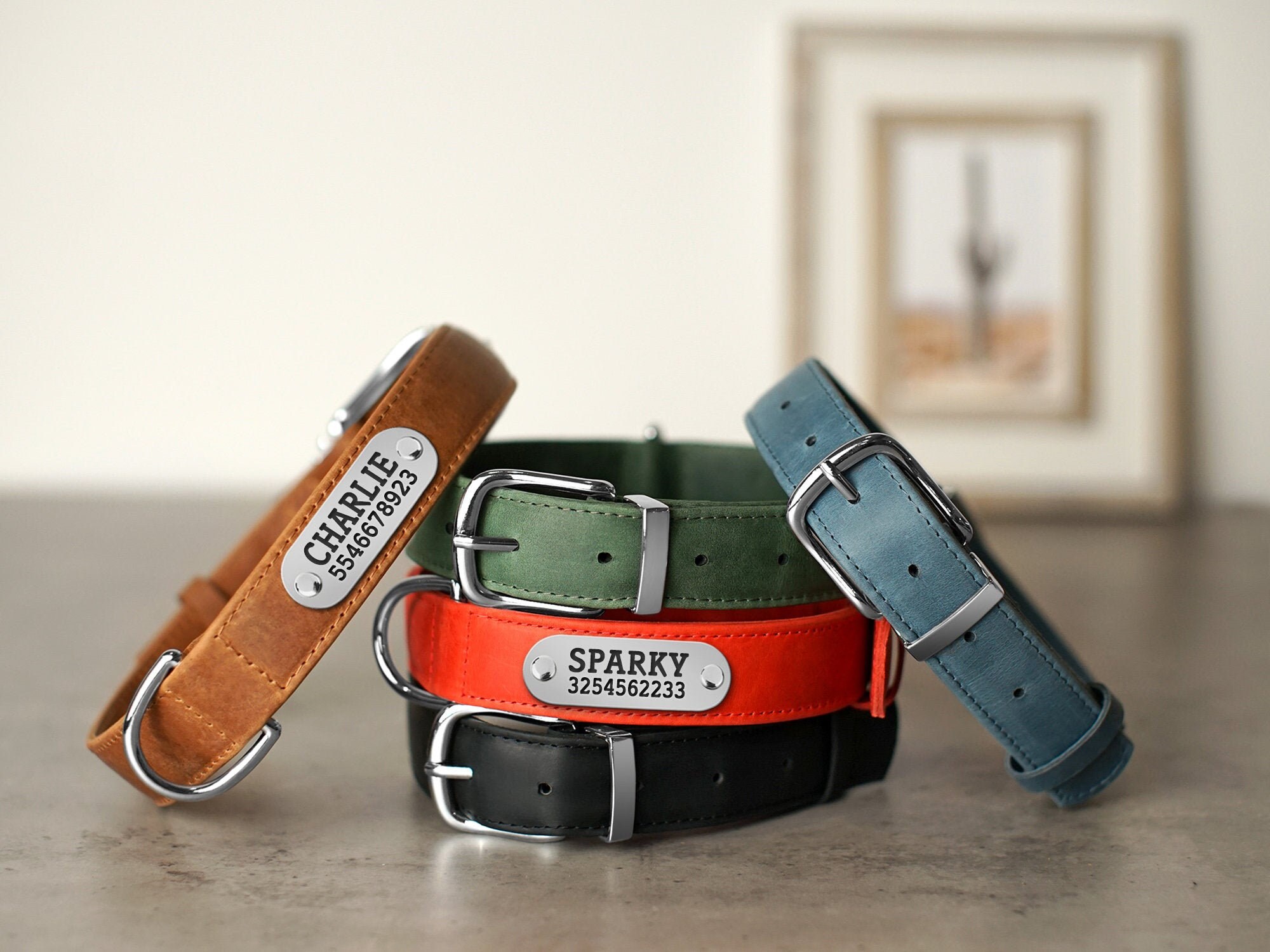 custom puppy collars