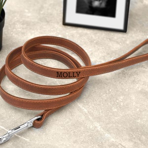 Personalized Leather Dog Leash, Durable Pet Leashes with Golden and Silver Hardware, Leather Dog Lead with Handle for Small and Large Dogs Tobacco Brown