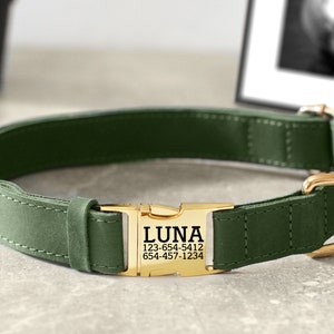 May include: A green leather dog collar with a gold buckle and a personalized name tag that reads "LUNA 123-654-5412 654-457-1234".