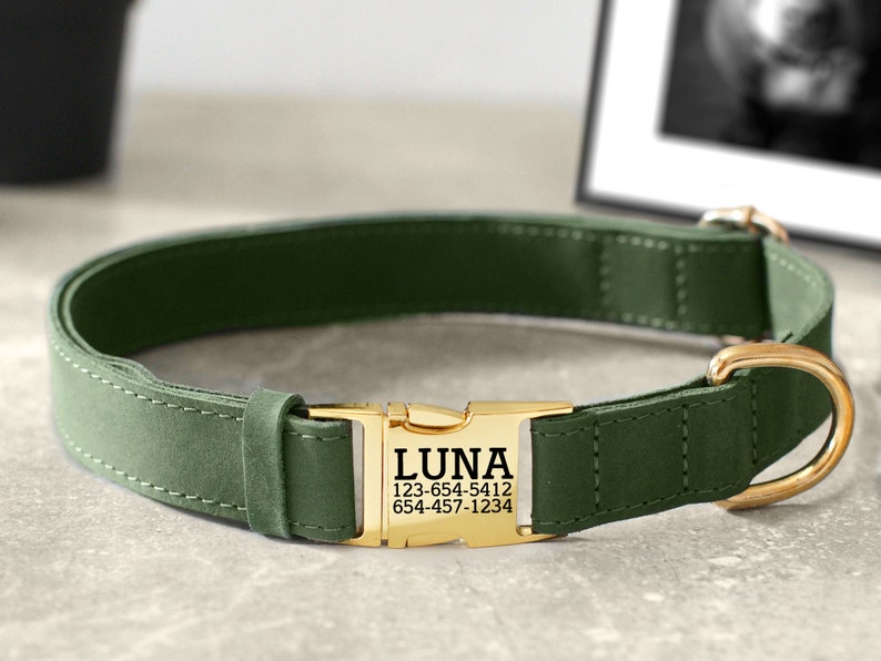 May include: A green leather dog collar with a gold buckle and a personalized name tag that reads "LUNA 123-654-5412 654-457-1234".