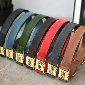May include: Seven leather dog collars in different colors with gold-toned personalized name tags. The collars are arranged in a row from left to right, with the name tags facing the viewer. The collars are made of brown, black, red, blue, green, and tan leather. The name tags are engraved with the names "Diana", "Molly", "Luna", "Sadie", "Zoey", "Bruno", and "Harper".