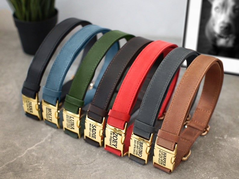 May include: Seven leather dog collars in different colors with gold-toned personalized name tags. The collars are arranged in a row from left to right, with the name tags facing the viewer. The collars are made of brown, black, red, blue, green, and tan leather. The name tags are engraved with the names "Diana", "Molly", "Luna", "Sadie", "Zoey", "Bruno", and "Harper".