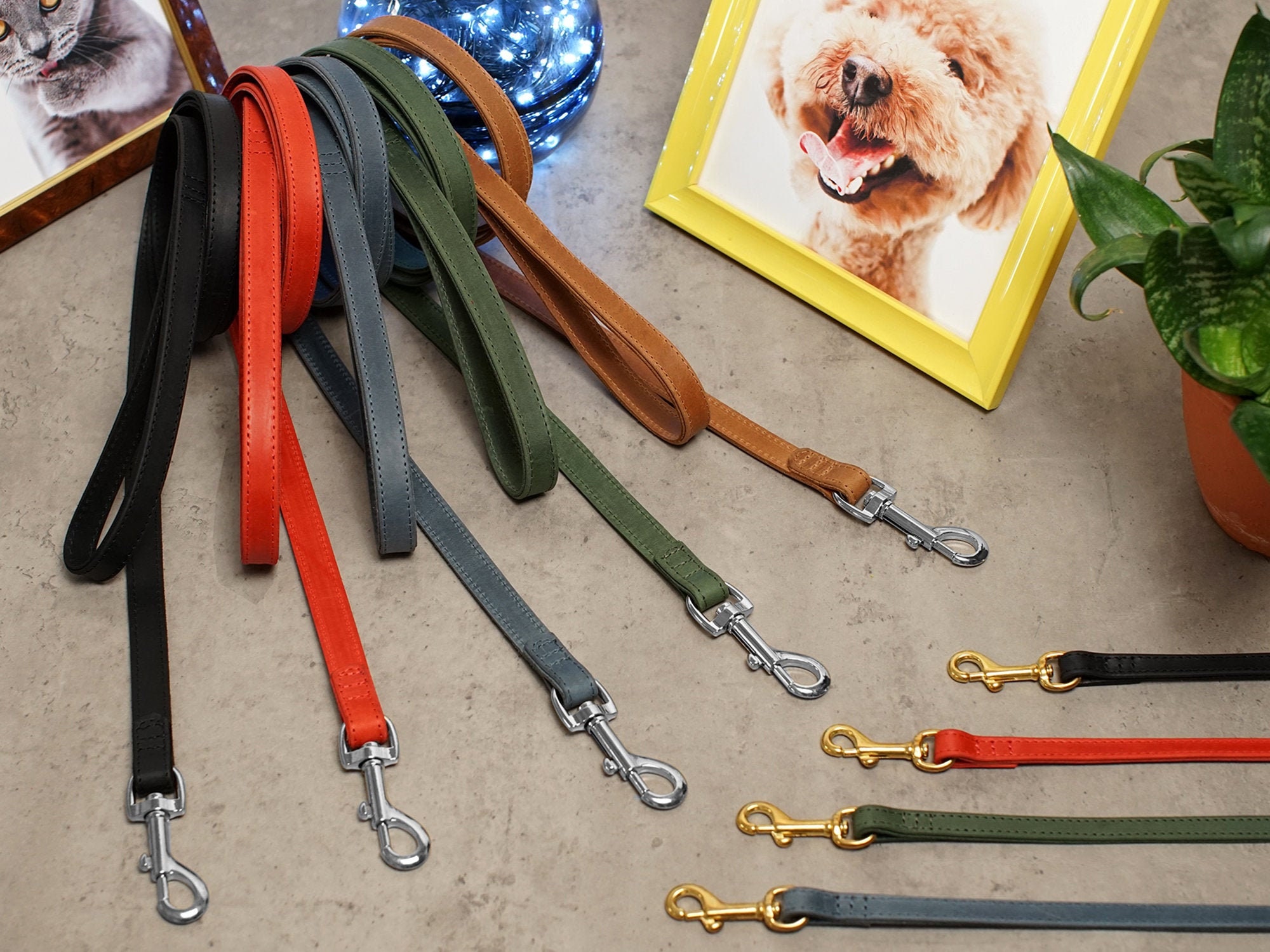 custom leashes