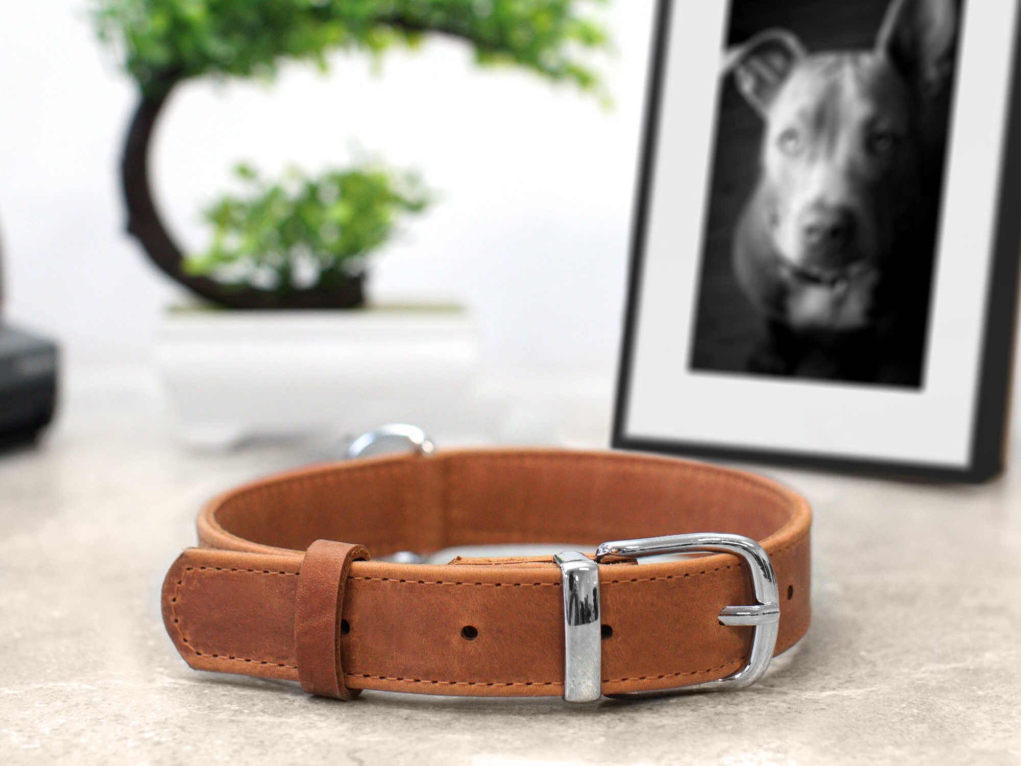 Collare Per Cani Personalizzato In Pelle Marrone: Ferramenta In Acciaio Fatta A Mano - Italia