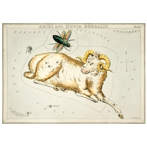 Ram sterrenbeeld Fine Art Print antieke lithografie uit 1825 - ingelijst/ingelijst