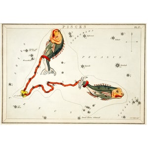 Fische Sternbild Kunstdruck Antike Lithographie von 1825 - gerahmt / ungerahmt
