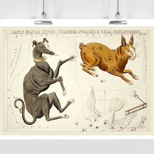 Canis Major Lepus Constellation Fine Art Print Antieke Lithografie uit 1825 - Ingelijst / Ongekaderd