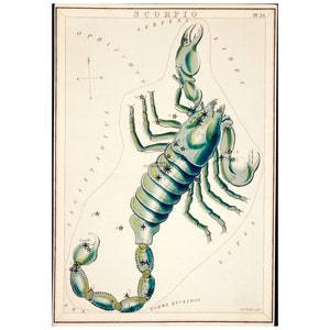 May include: A vintage illustration of the constellation Scorpio, depicted as a scorpion with a blue-green body and outlined in black. The stars are represented by small white stars with black centres. The constellation is labelled "Scorpio" and "Serpens" in the top centre of the image. The image is surrounded by a white border.