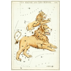 Leo Sternbild Kunstdruck Antike Lithographie von 1825 - gerahmt / ungerahmt
