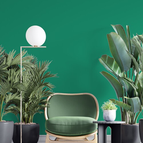 Peel and Stick Wallpaper Soft Green Solid Color Home Decor Etsy