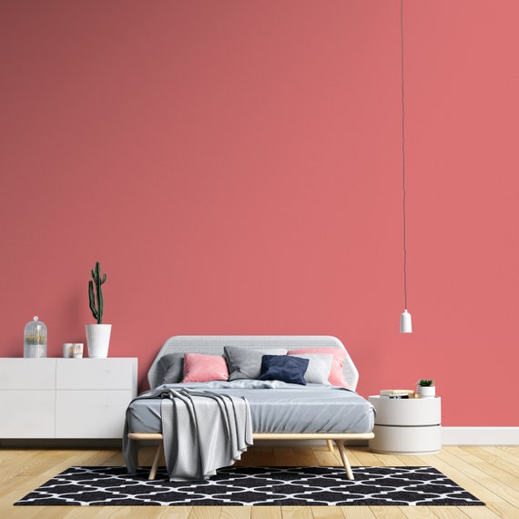 Kameraad alias Baleinwalvis Peel en stick behang roze effen kleur behang voor Home decor - Etsy België