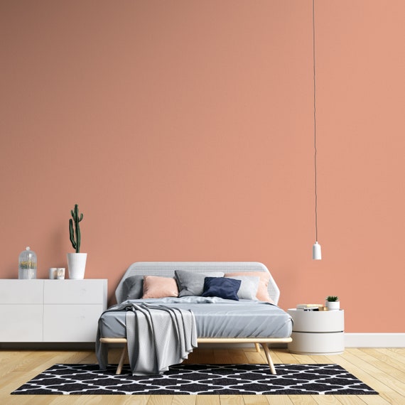 Peel and Stick Wallpaper Soft Pink Solid Color Wallpaper for - Etsy Peel and Stick Wallpaper Soft Pink Solid Color Wallpaper for - Etsy