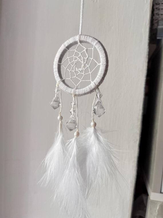 Ornamenti per auto specchietto retrovisore creativo acchiappasogni appendere doppia piuma acchiappasogni accessori moda femminile regalo Driver  34