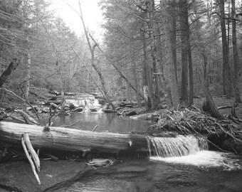Catskill Rivers Wall Print #2; Photo Print, Decor, Wall Art