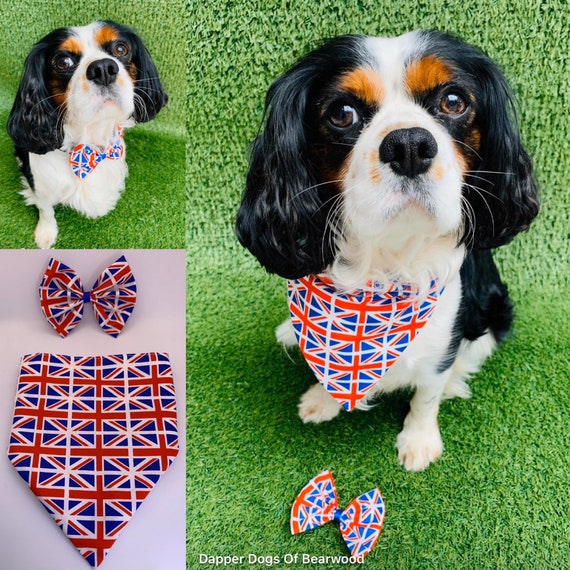 Jubilee Dog Accessory Union Jack Dog Bow Dog Bandanna Slide Etsy UK