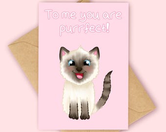 To me you are purrfect Karte, Katzenliebeskarte, Valentinstagskarte mit siamesischer Katze,