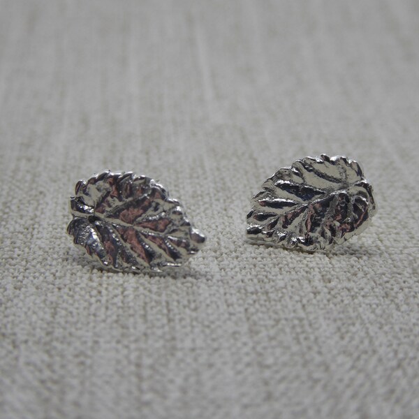 Pendientes de hoja de avellano, pendientes de hoja de plata, tachuelas, joyas inspiradas en la naturaleza, ecologista, regalo, bosque, joyería botánica, naturaleza