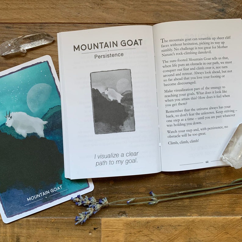 Animal Magic Oracle Cards: A 44-Card Deck and Guidebook image 7