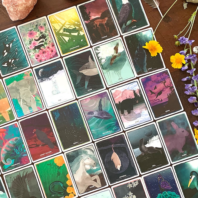 Animal Magic Oracle Cards