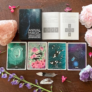 Animal Magic Oracle Cards - 4 card spread, Lion, Skunk, Orca and Spider cards
