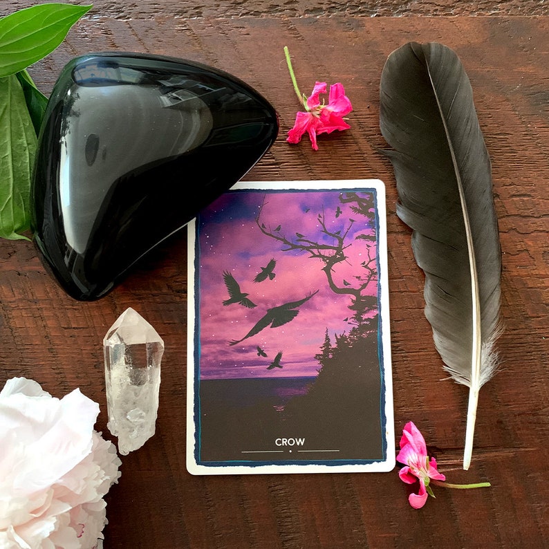 Animal Magic Oracle Cards - Crow card