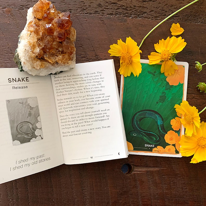 Animal Magic Oracle Cards: A 44-Card Deck and Guidebook image 6
