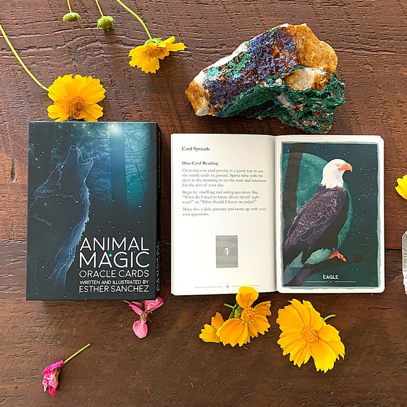 Animal Magic Oracle Cards - Eagle card