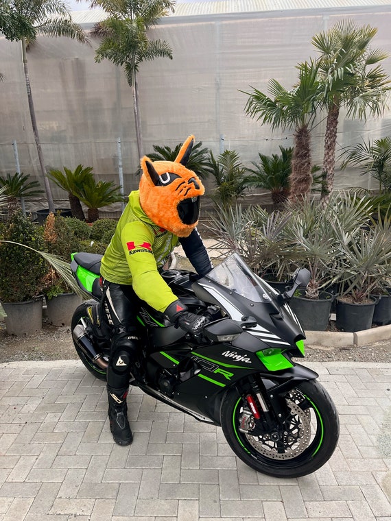 Housse de casque de moto Moto Funny Heeds Housse de casque Crazy