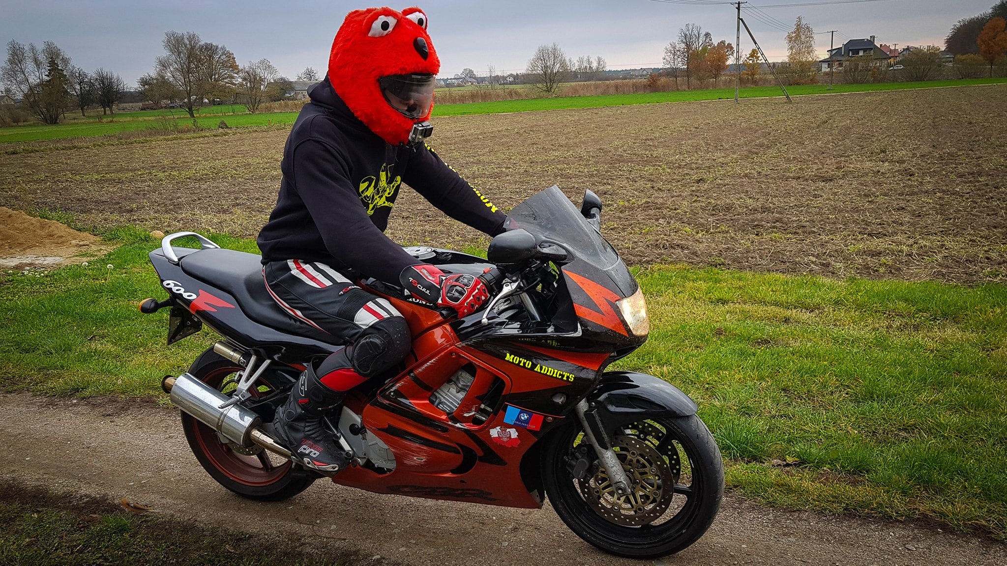 Moto-Helmüberzug lustige Tier-Motorrad-Motorradhelm-Überzüge