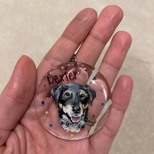 May include: A clear, round keychain featuring a painted portrait of a dog with the name "Dexter" above the dog's head. The dog has black, gray, and tan fur. The keychain has a silver metal ring and is decorated with small colorful dots.