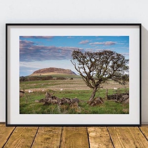 Slemish mountain with old tree print