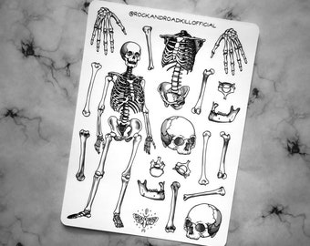 Sticker sheet "Skeleton Rock" - Bone, Anatomy, Skeleton, Human, Vertebrae, Lower Jaw, Sticker - Rock&Roadkill