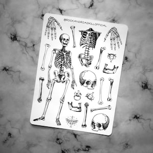 Stickervel "Skeleton Rock" - botten, anatomie, skelet, mens, wervels, onderkaak, stickers - Rock&Roadkill
