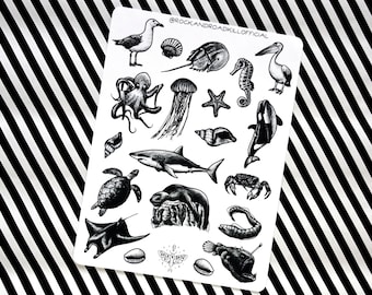 Sticker sheet "Yertle The Turtle" - Shark, Jellyfish, Seagull, Orca, Crab, Moray Eel, Seal, Animals, Octopus, Mussels, Rays, Stickers - Rock&Roadkill