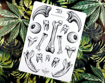 Sticker sheet "Old Bones" - Bones, Eyes, Teeth, Shark Teeth, Shark Tooth, Lower Jaw, Dinosaur Claw, Sticker - Rock&Roadkill