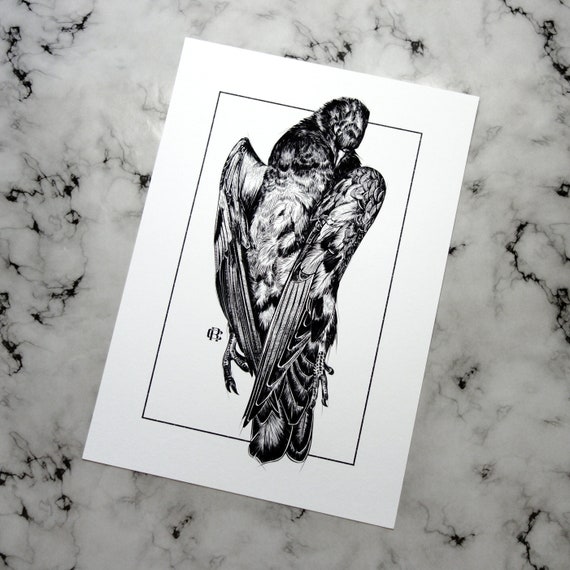 Art Print A3 Free Bird Dove Carcass Death Etsy
