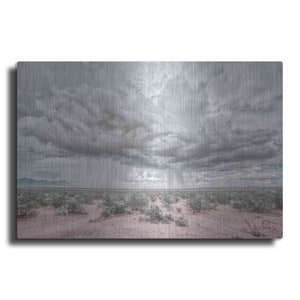 New Mexico Rain by Nathan Larson, Metal Wall Art